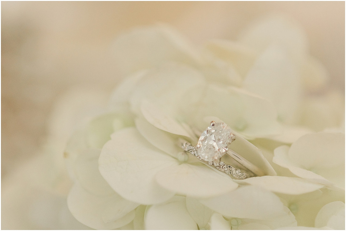 "State Capitol", "Olympia Wedding", "Amanda and Bryan Photography", 