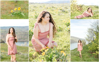 Brianna G Senior Blog