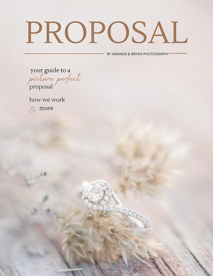 "proposal photographer"