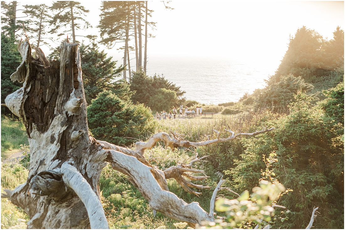 "Oregon Coast photographer", "Engagement pictures", "Proposal Photographer", "Ecola State Park photo session", "PNW couple photographer", "Amanda and Bryan Photography"