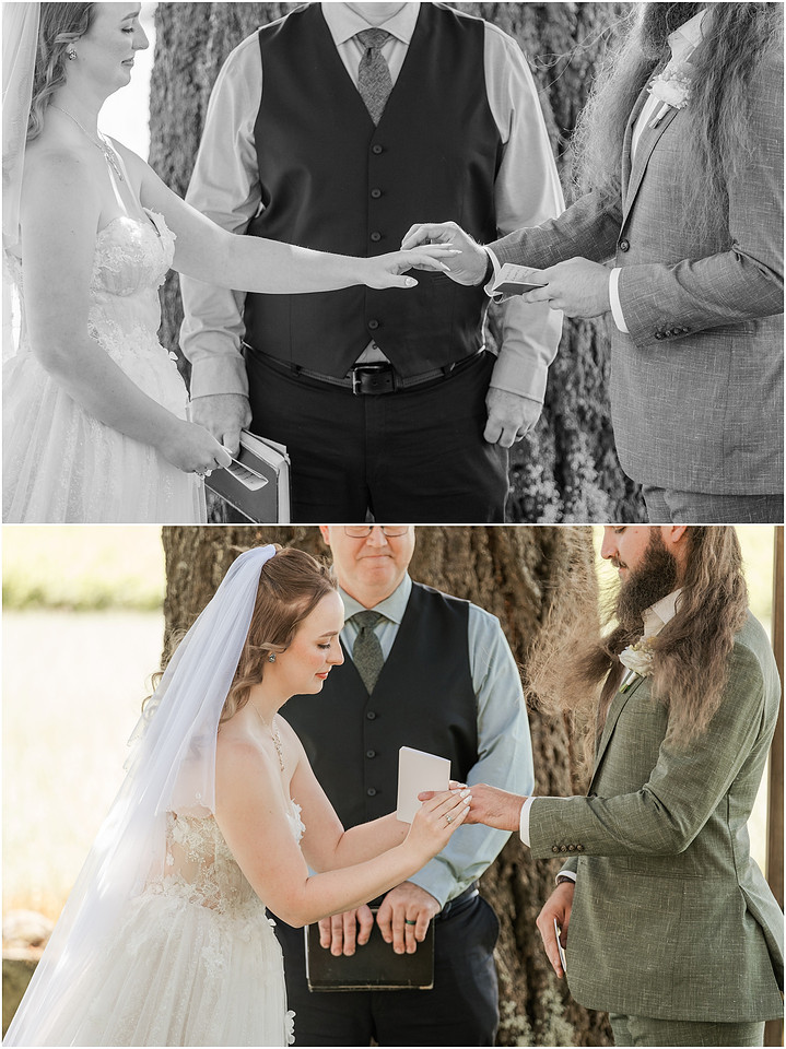 "Vineyard View Celebrations", "Scotts Mills Wedding venue", "Vineyard View Celebrations at La Bastide", "Amanda and Bryan Photography", "PNW Wedding photographer", PDX wedding photographer"