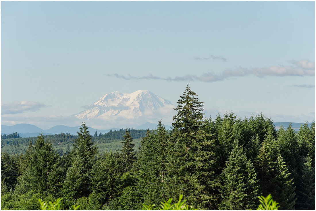 "Castle Rock Wa wedding", "South West Washington Wedding Photographer", "The Barn 1502", "PNW wedding photographer", PDX wedding photographer"