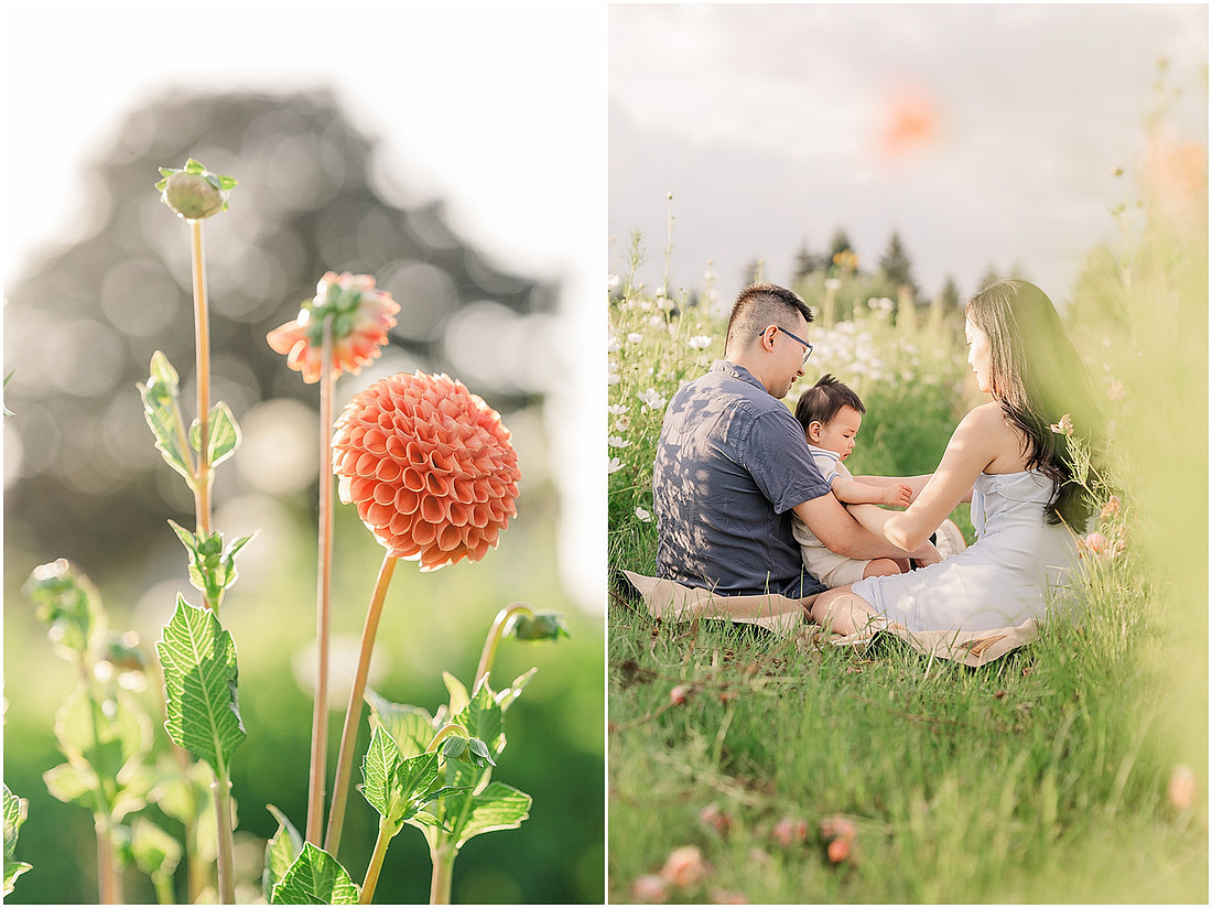 "Milk and Honey Flower Farm", "La Center Washington", "Flower Farm photo session", "Family pictures", "La Center Wa photographer"