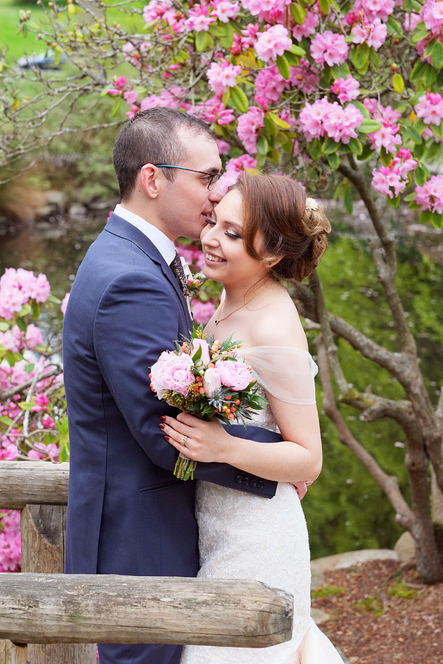 Japanese cherry trees, rhododendrons, pink blossoms
