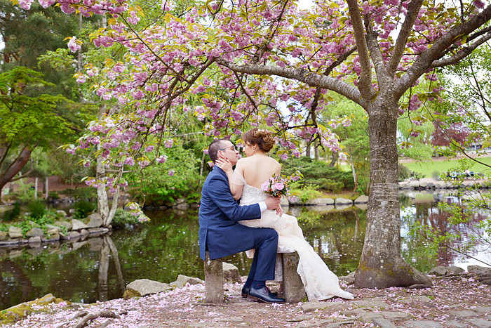 Japanese cherry trees, rhododendrons, pink blossoms