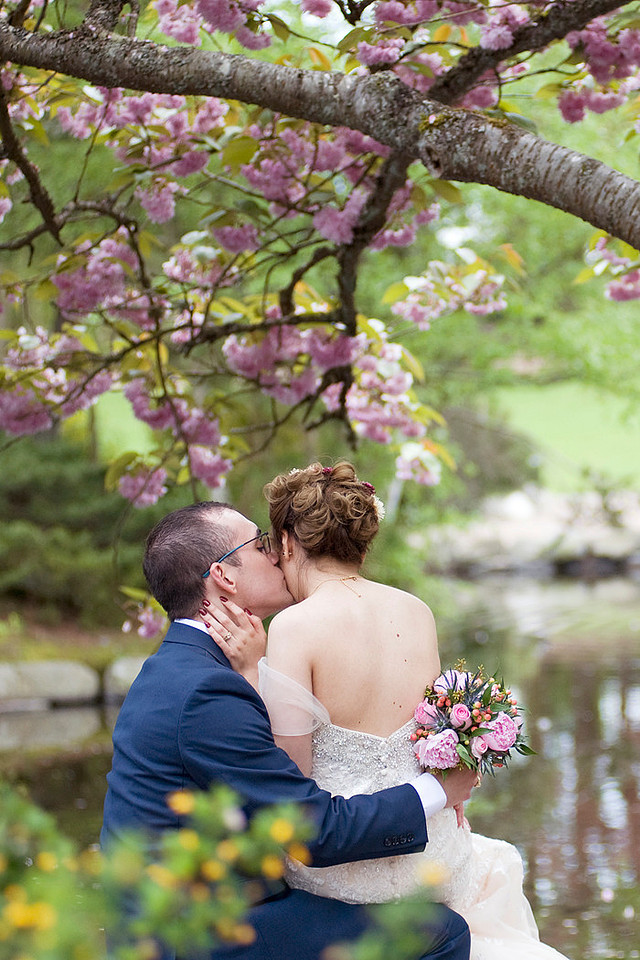 Japanese cherry trees, rhododendrons, pink blossoms