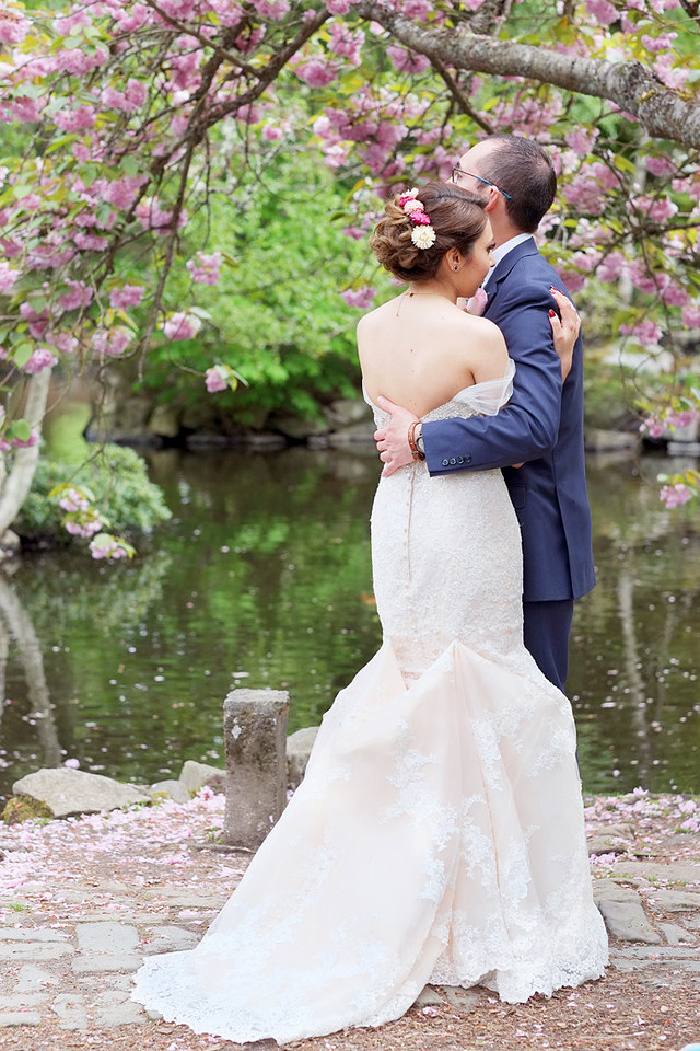 Japanese cherry trees, rhododendrons, pink blossoms