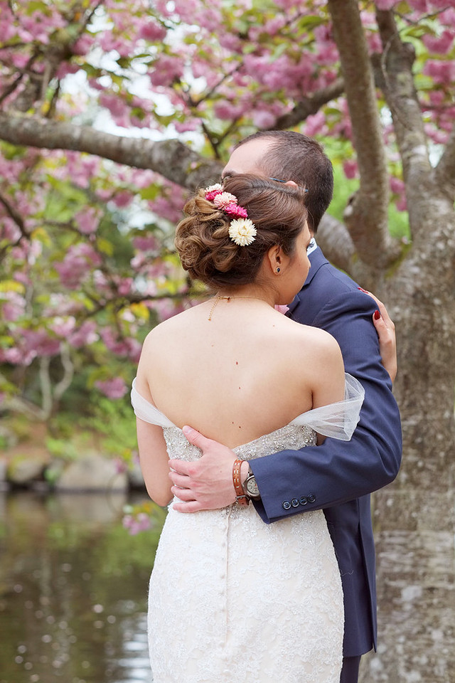 Japanese cherry trees, rhododendrons, pink blossoms