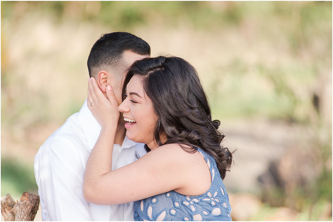 Engagement pictures