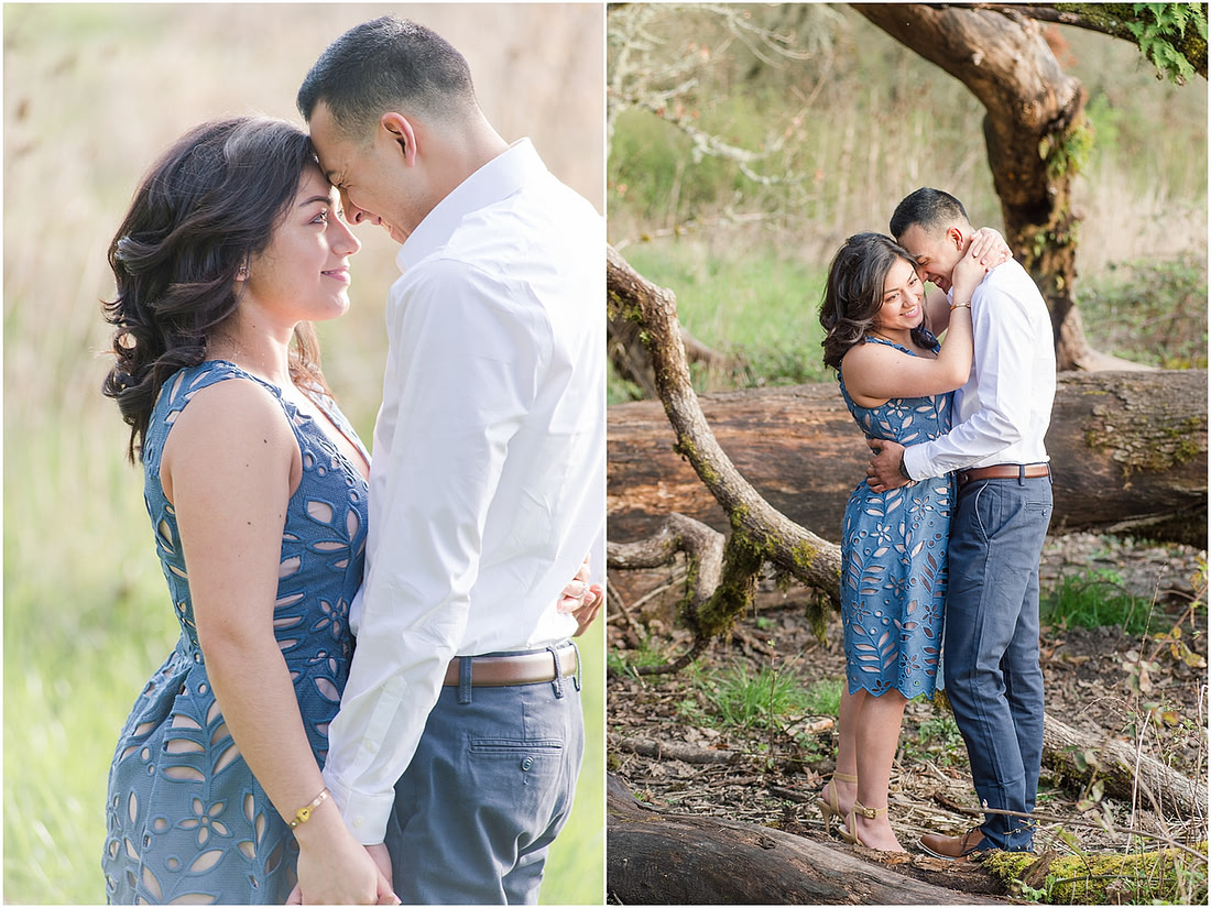 Engagement pictures