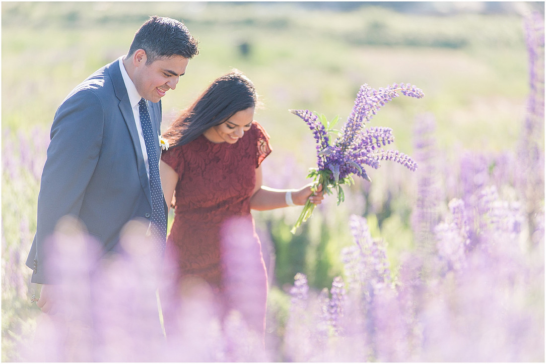 "wildflower engagement photos", "purple lupines", "spring engagement"