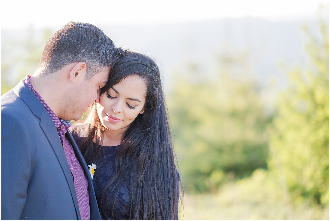 "wildflower engagement photos", "purple lupines", "spring engagement"