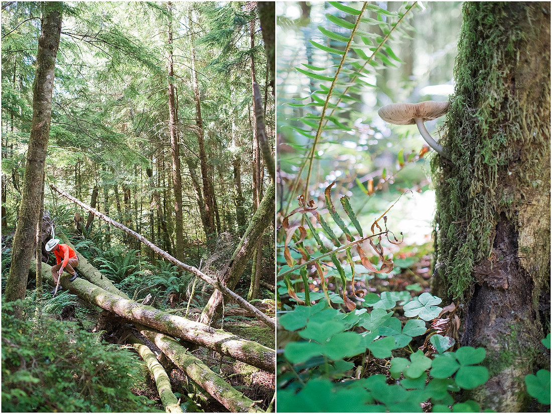 "Kayak camping", "Willapa bay"