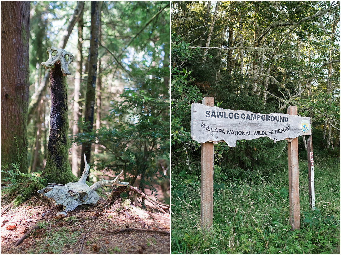 "Kayak camping", "Willapa bay"