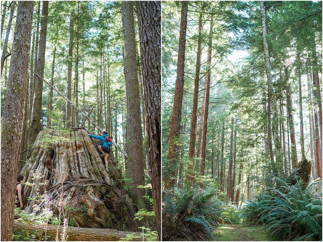 "Kayak camping", "Willapa bay"