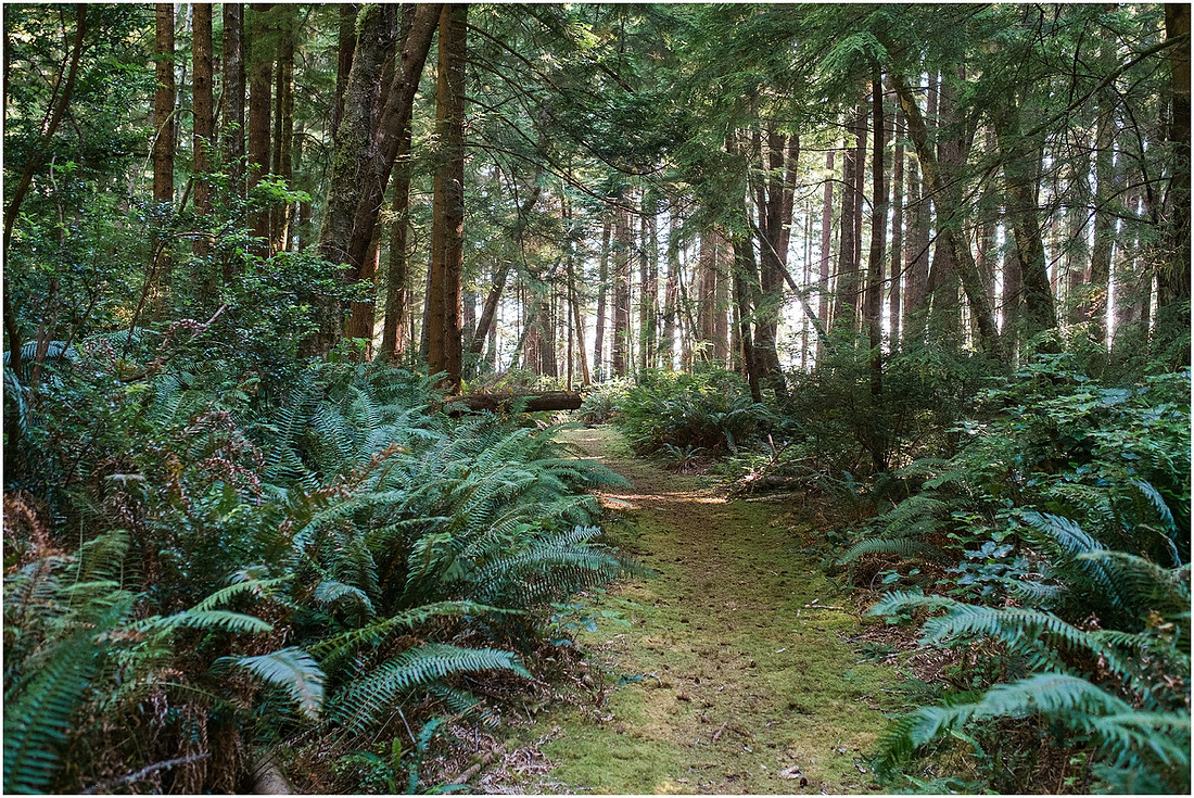 "Kayak camping", "Willapa bay"