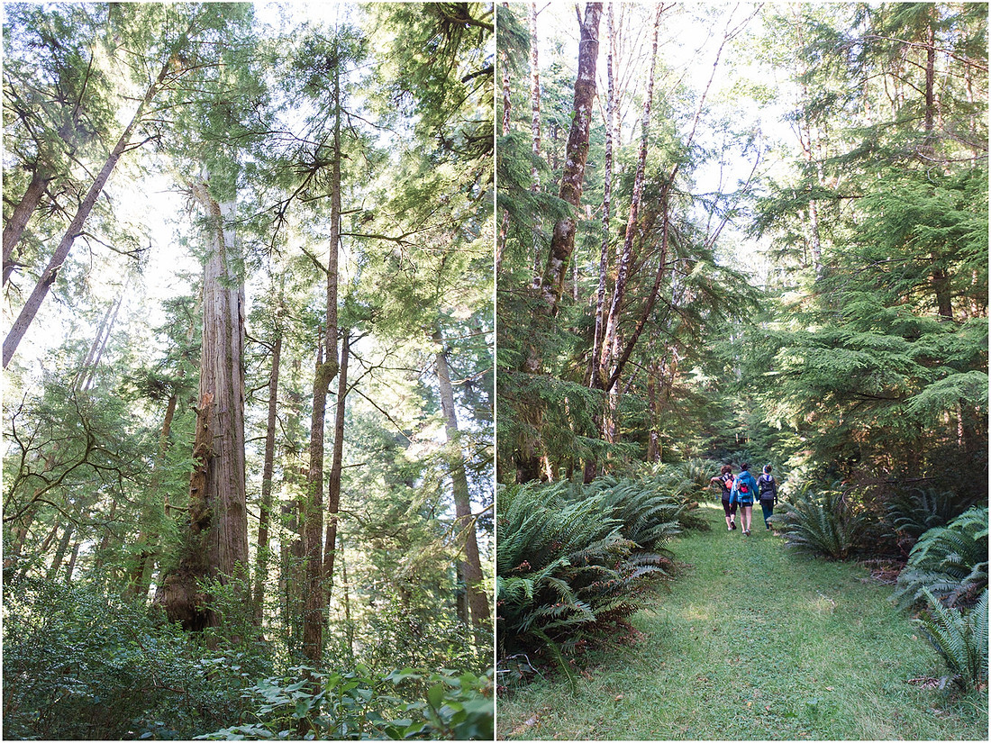 "Kayak camping", "Willapa bay"