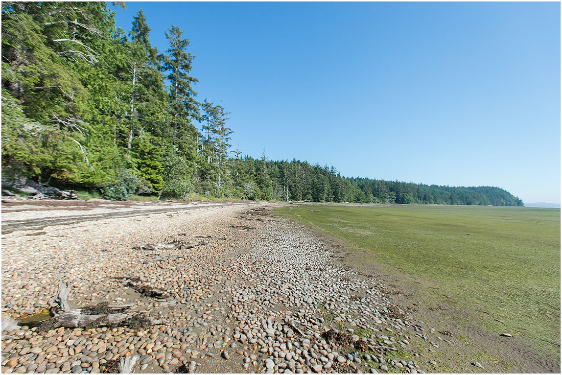 "Kayak camping", "Willapa bay"