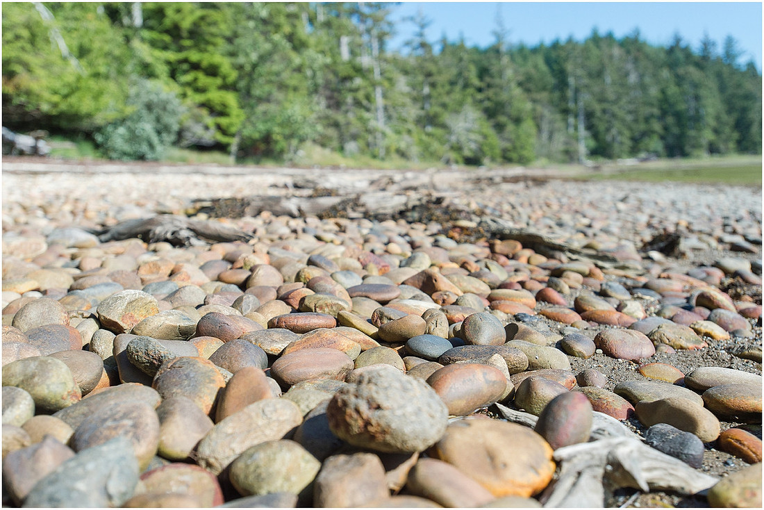 "Kayak camping", "Willapa bay"