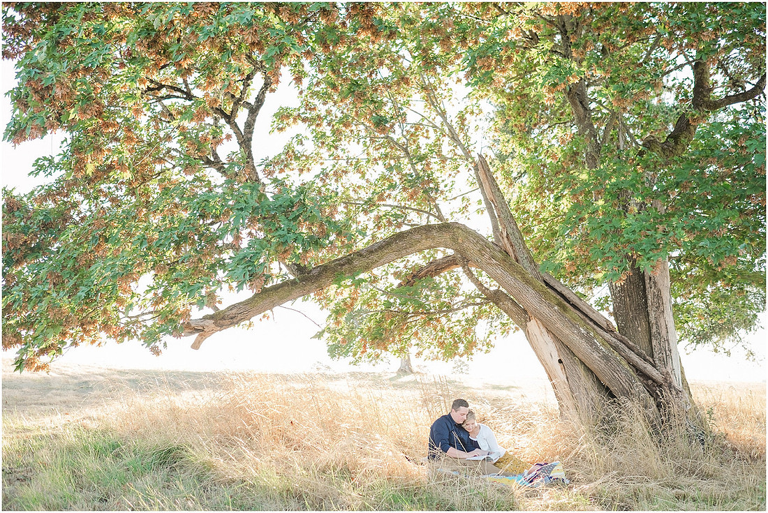 "Ridgefield engagement", "yellow dress", "Oak tree engagement pictures", "Sunset engagement"
