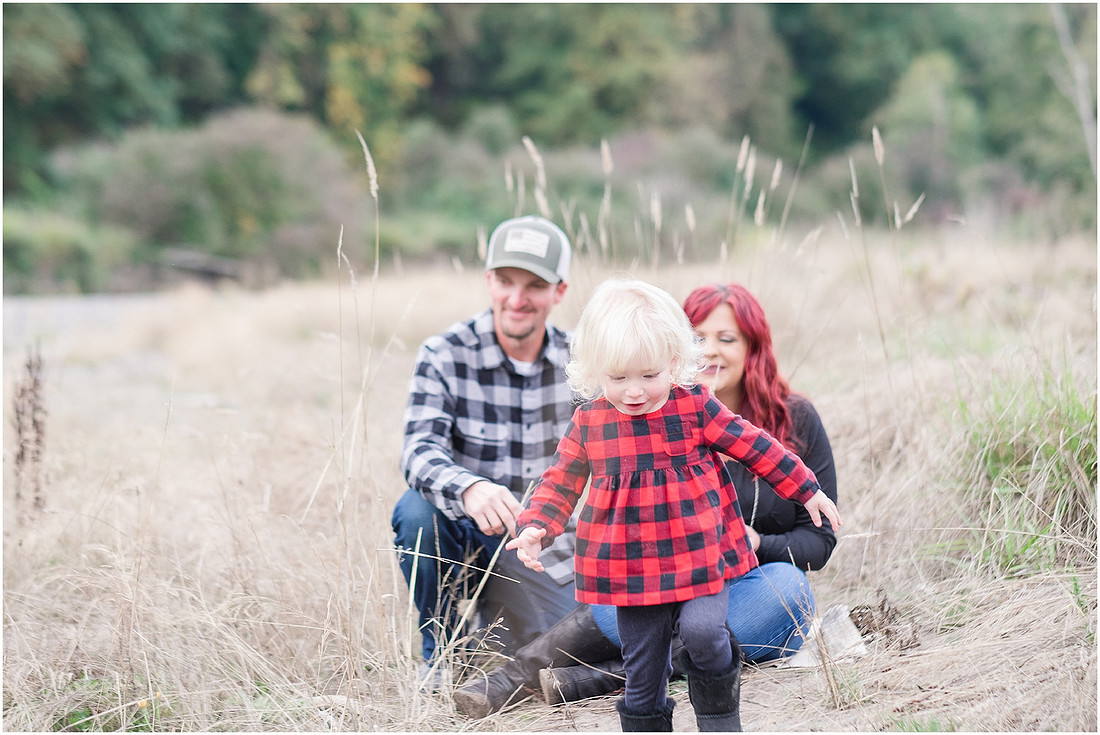 "fall family photos", "two year old girl", "pink dress", "toddler photography", "Cowlitz county photographer", "Clark county photographer"