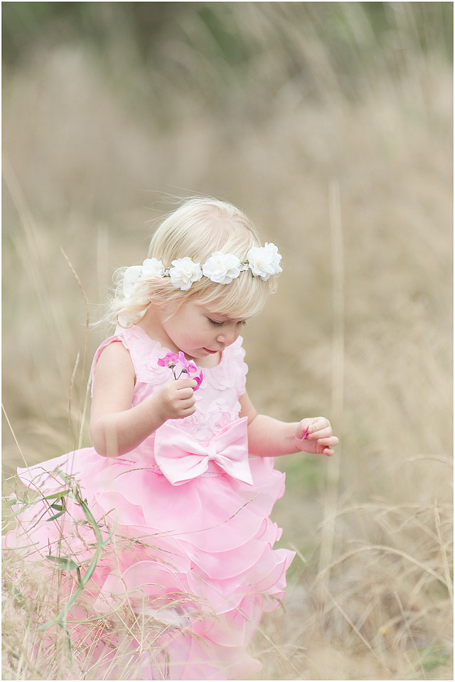 "fall family photos", "two year old girl", "pink dress", "toddler photography", "Cowlitz county photographer", "Clark county photographer"