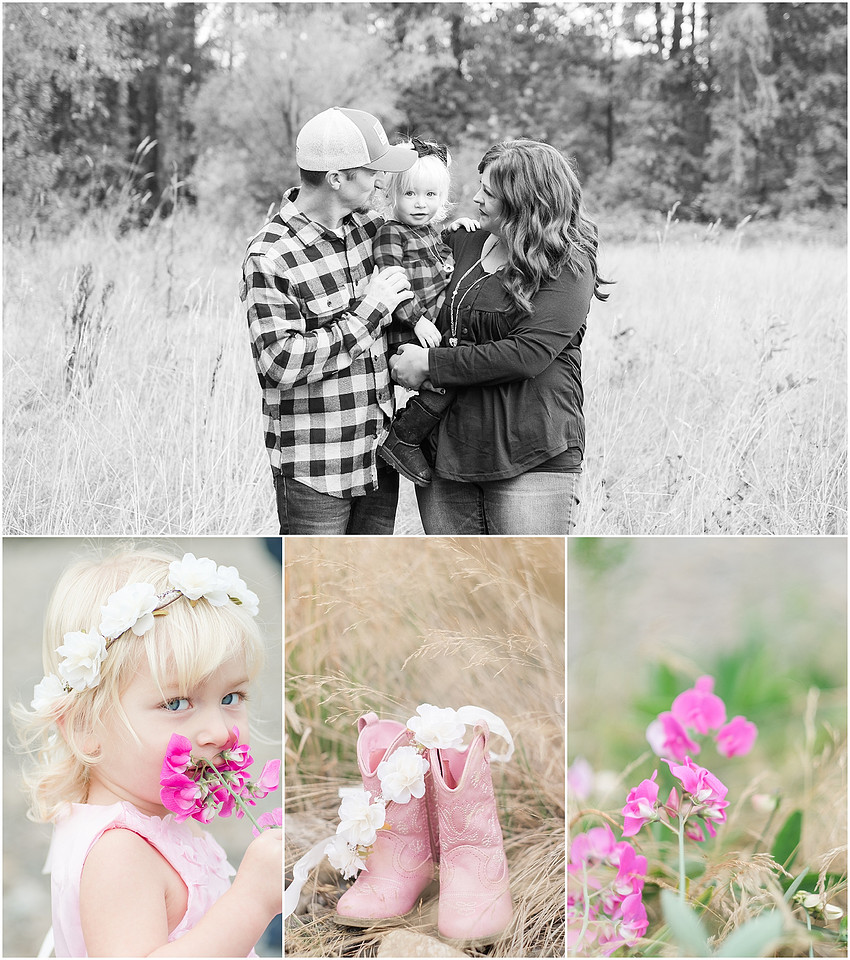 "two year old girl", "pink dress", "fall family pictures"
