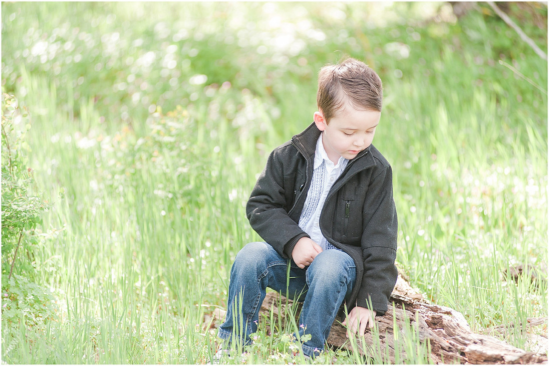 "Spring family photos", "Woodland family photos",, "Family of 4 photo session"