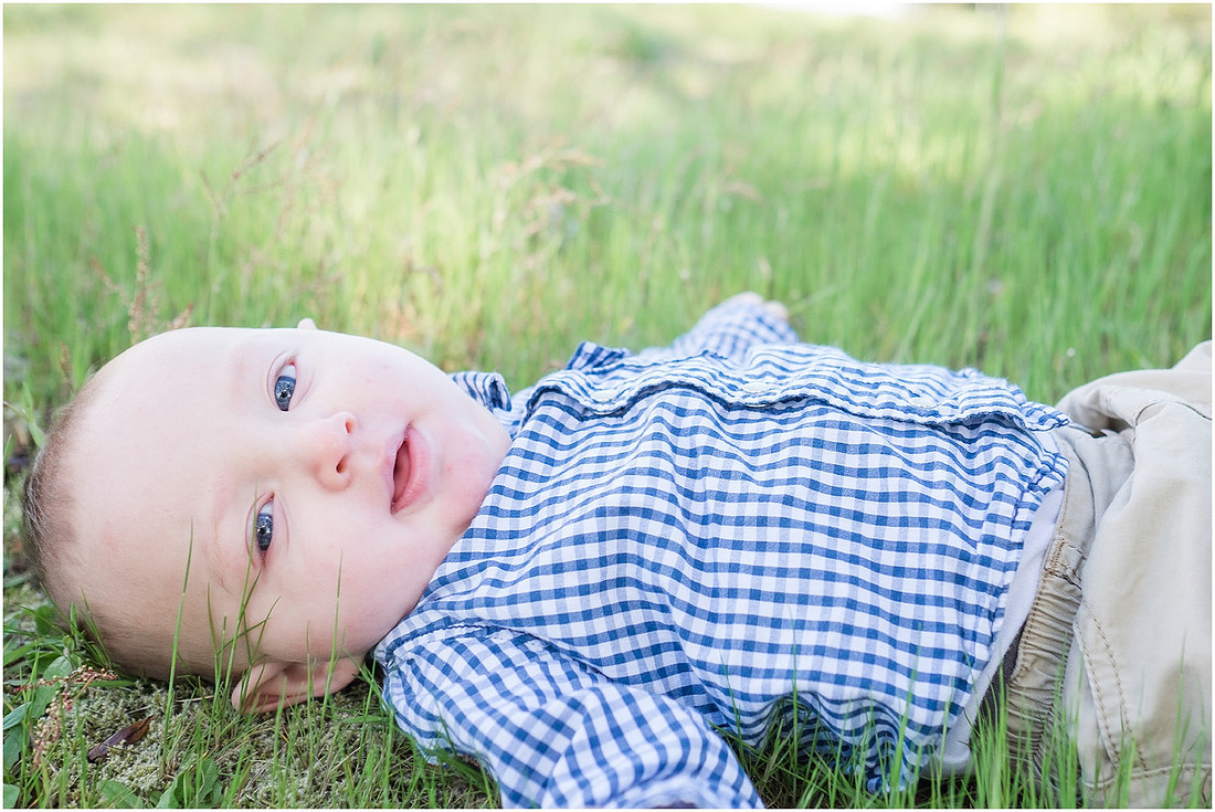 "Spring family photos", "Woodland family photos",, "Family of 4 photo session"
