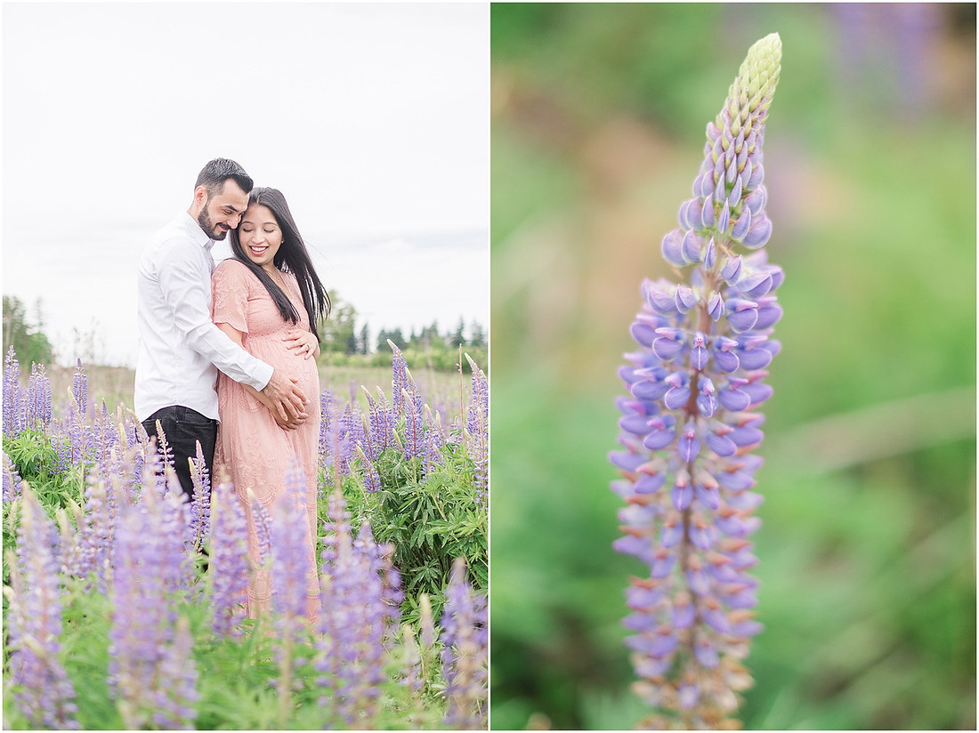 "purple lupines", "wildflowers", "pretty in pink", "blush maternity dress", "maternity pictures"