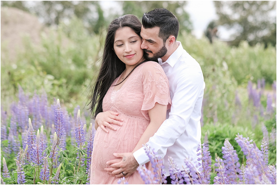 "purple lupines", "wildflowers", "pretty in pink", "blush maternity dress", "maternity pictures"