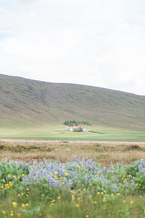 Iceland