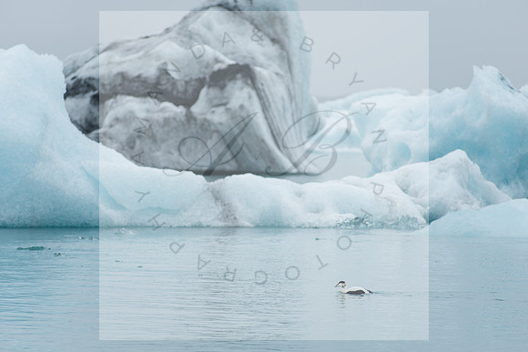 Iceland
