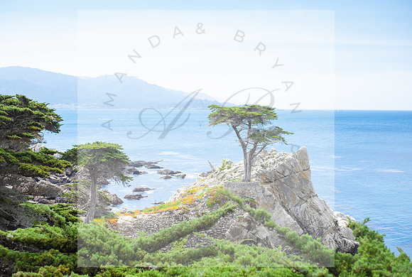 California Coast