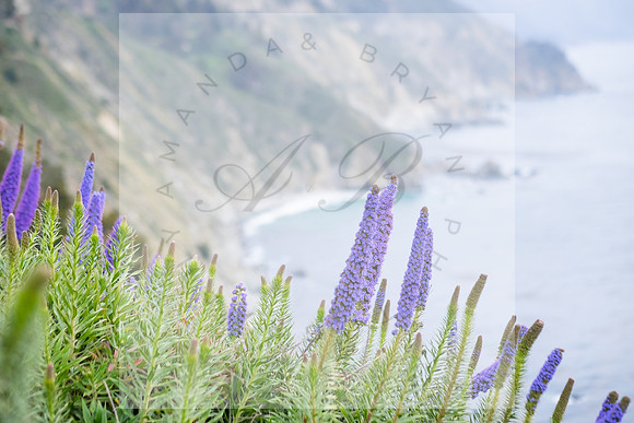 Big Sur California