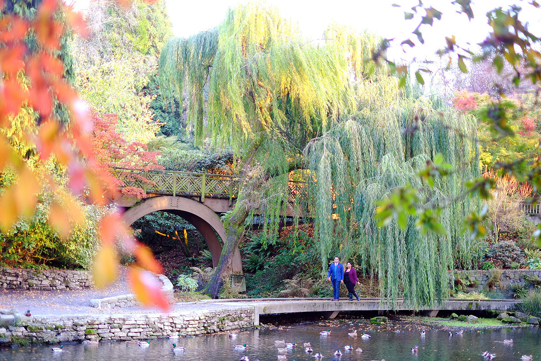 Portland engagement, Crystal springs rhododendron garden, Fall pictures, 