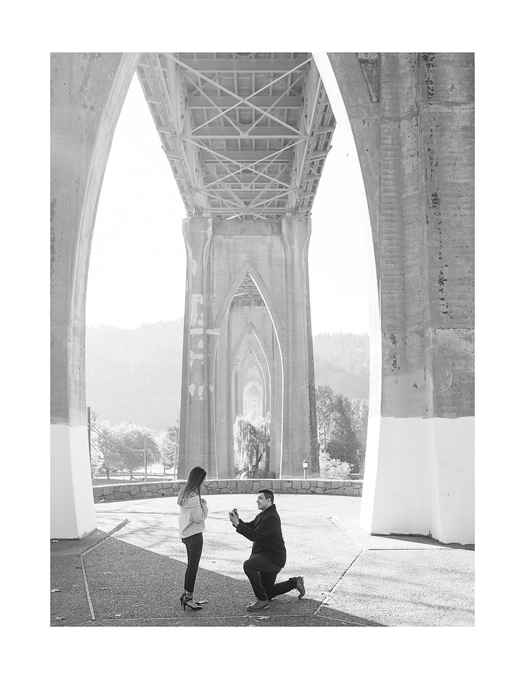 "proposal photographer"