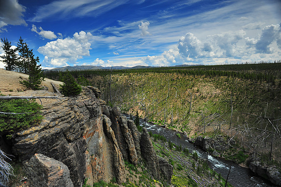 Yellowstone