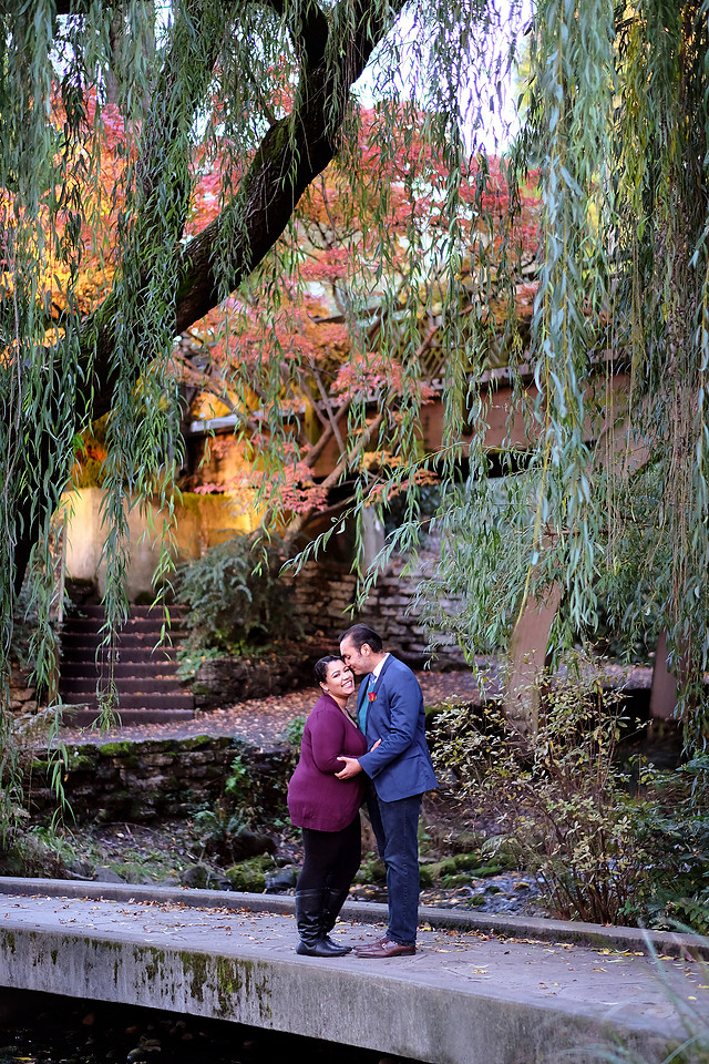 Portland engagement, Crystal springs rhododendron garden, Fall pictures, 