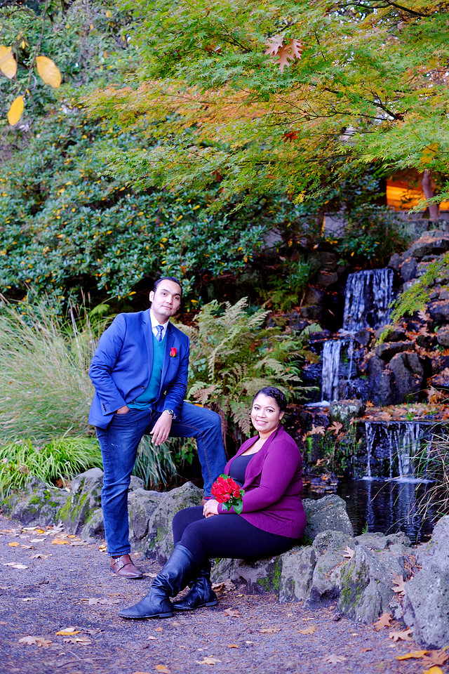 Portland engagement, Crystal springs rhododendron garden, Fall pictures, 