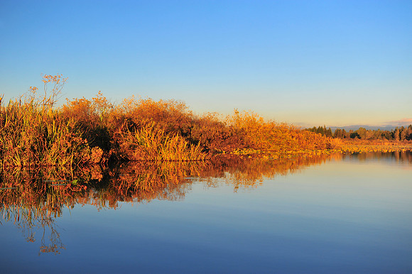 Silver Lake Washington